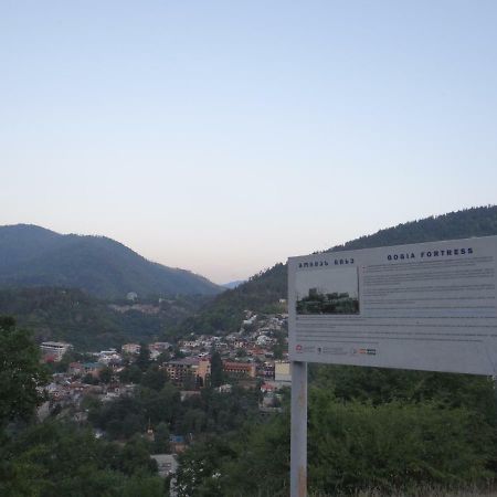 Dalko Hotel Borjomi Ngoại thất bức ảnh