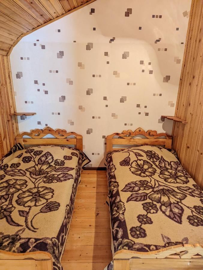 Dalko Hotel Borjomi Ngoại thất bức ảnh