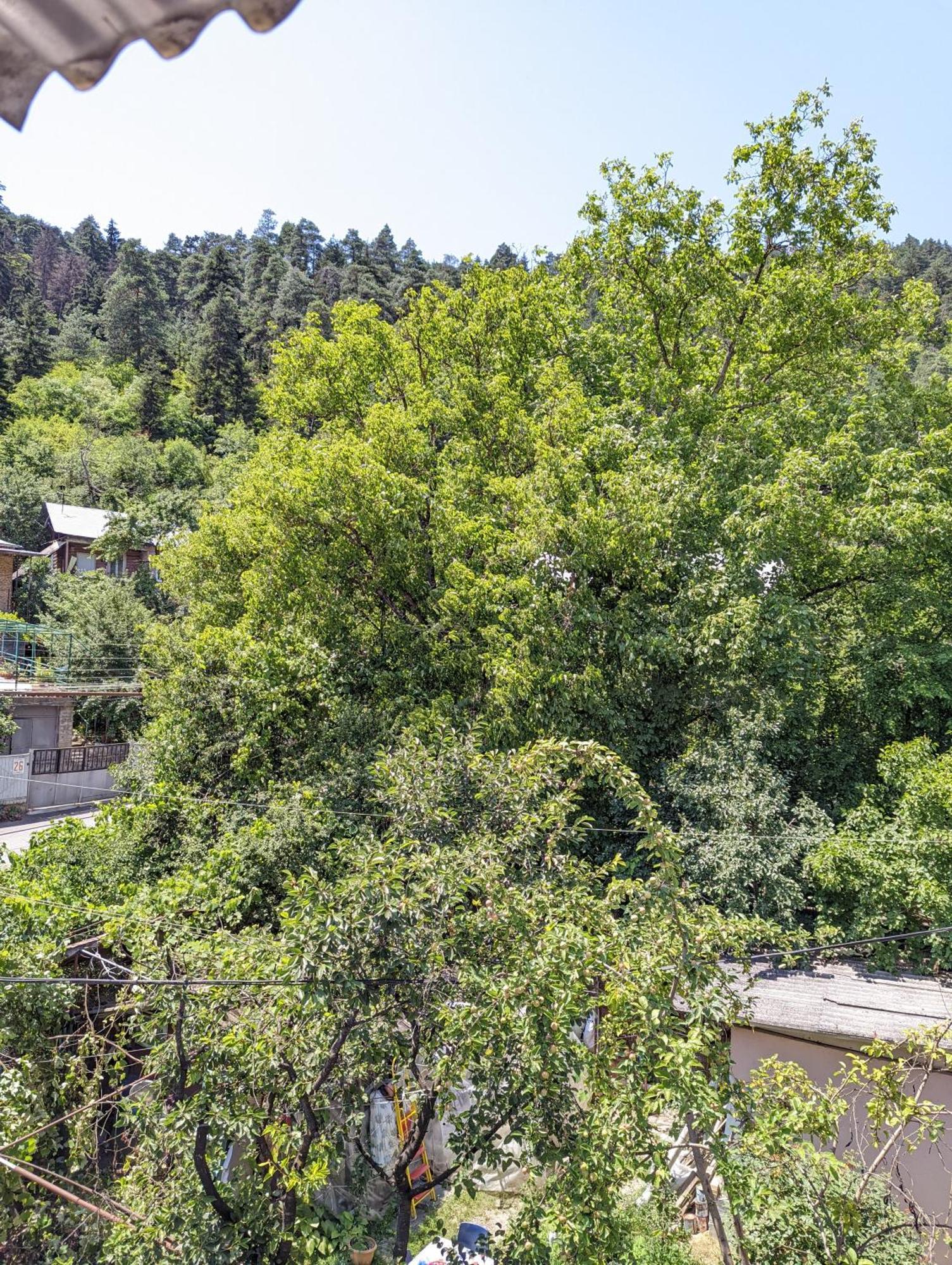 Dalko Hotel Borjomi Phòng bức ảnh