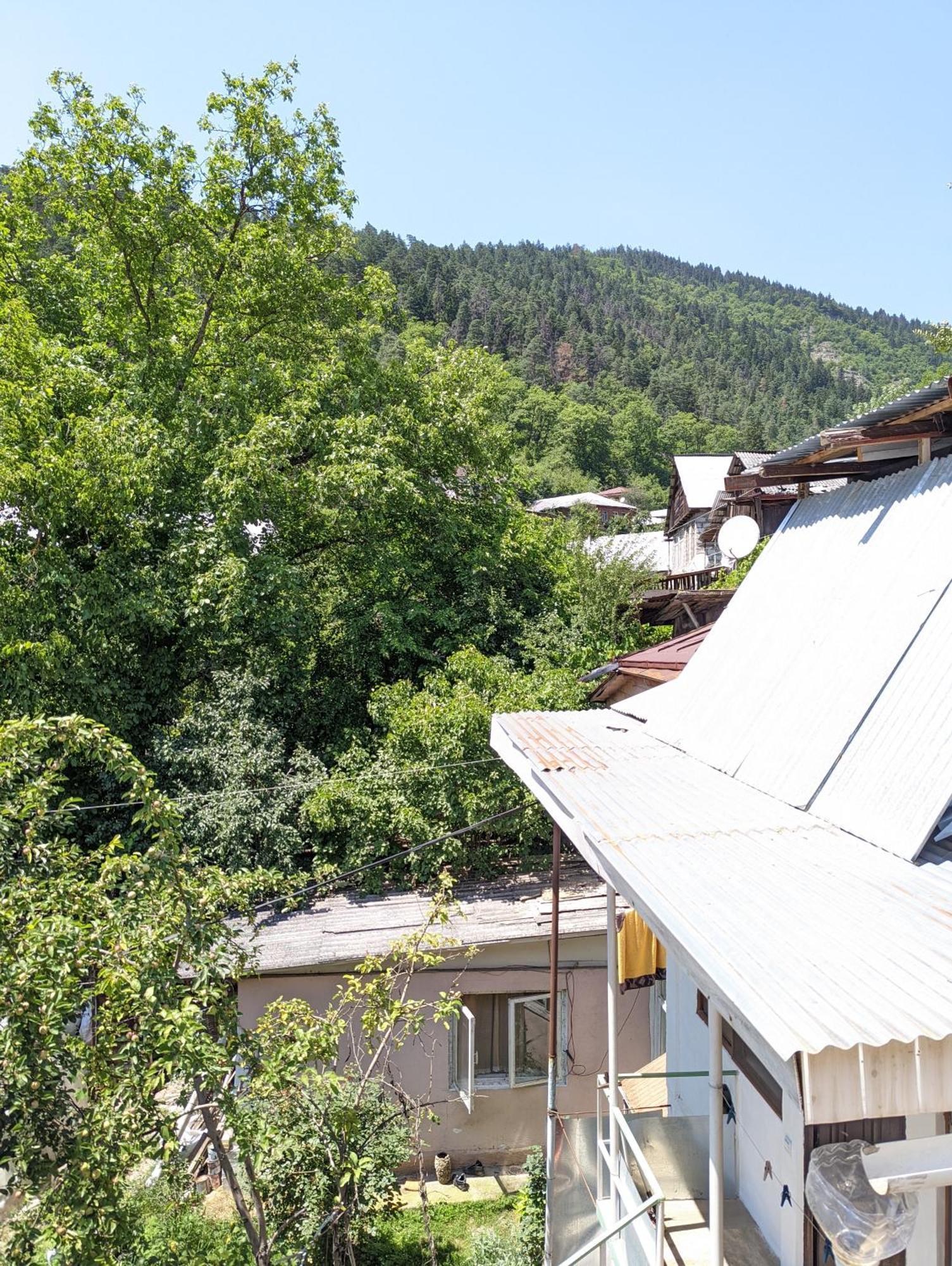 Dalko Hotel Borjomi Phòng bức ảnh