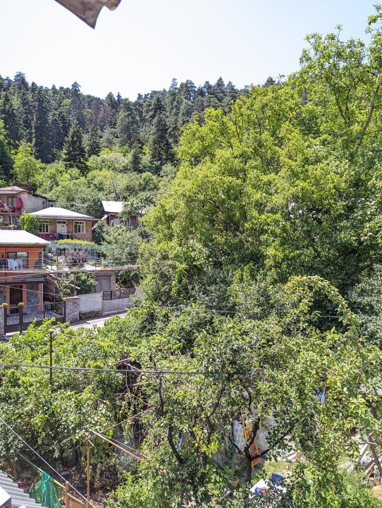 Dalko Hotel Borjomi Phòng bức ảnh