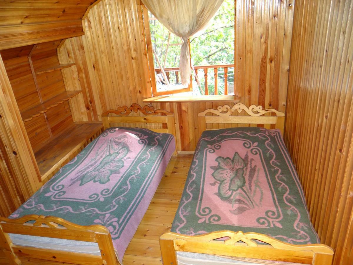 Dalko Hotel Borjomi Ngoại thất bức ảnh