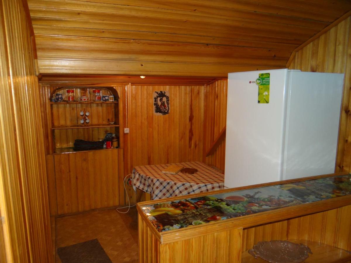 Dalko Hotel Borjomi Ngoại thất bức ảnh