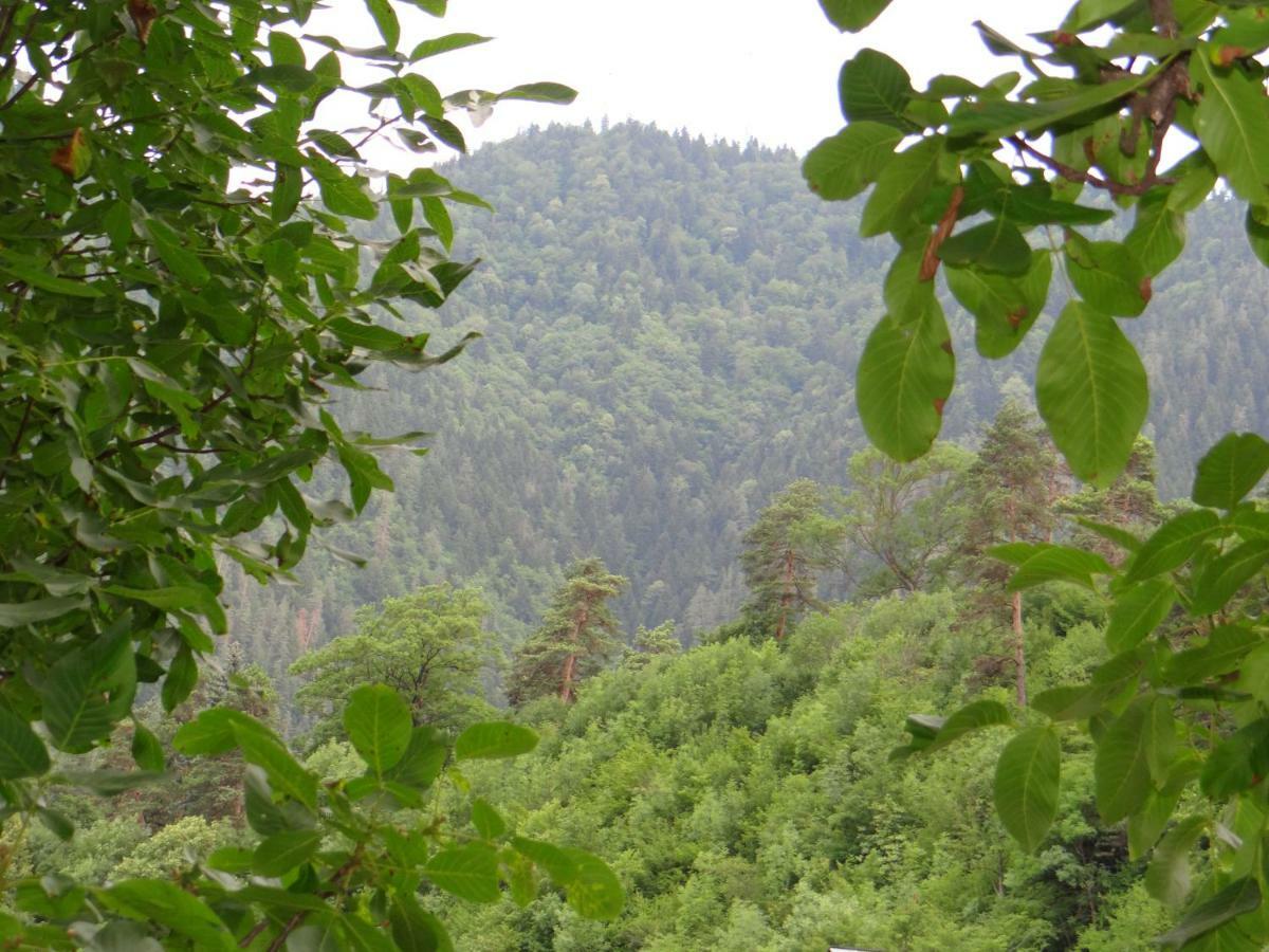 Dalko Hotel Borjomi Ngoại thất bức ảnh
