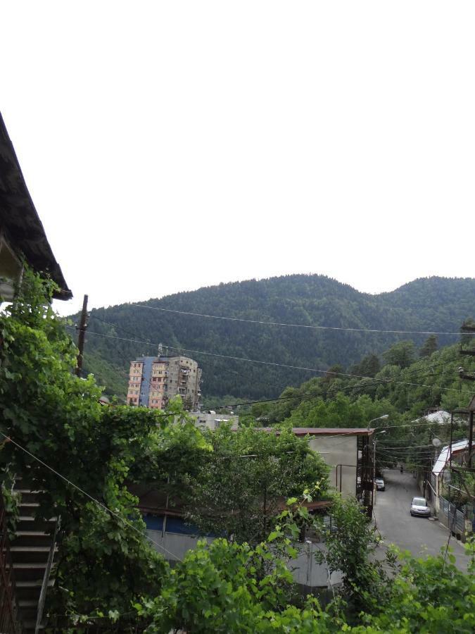 Dalko Hotel Borjomi Ngoại thất bức ảnh
