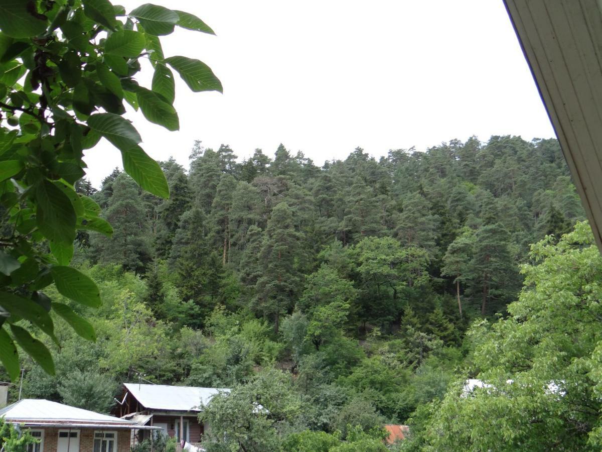 Dalko Hotel Borjomi Ngoại thất bức ảnh