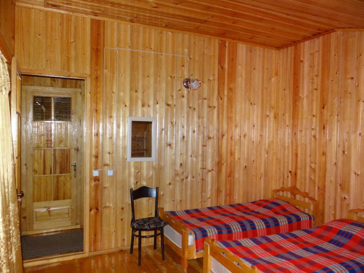 Dalko Hotel Borjomi Ngoại thất bức ảnh