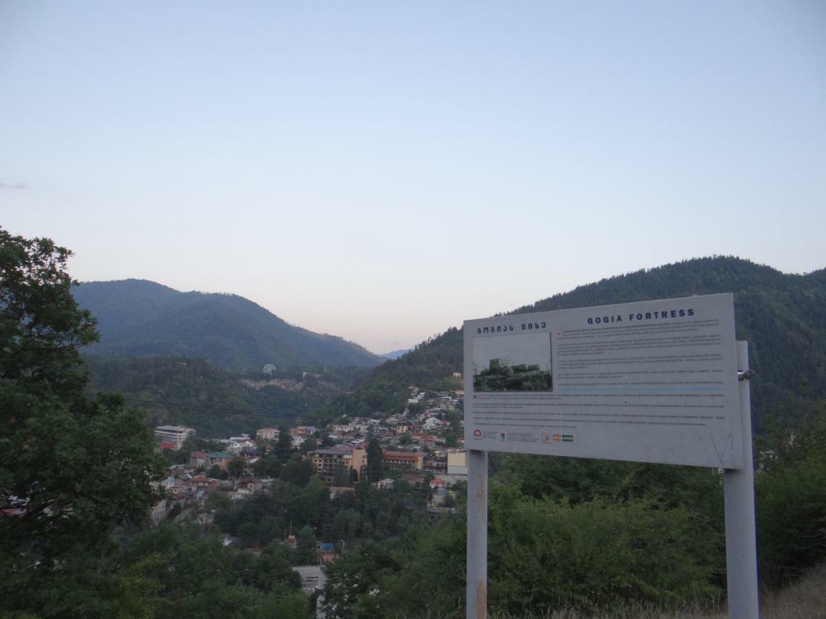 Dalko Hotel Borjomi Ngoại thất bức ảnh